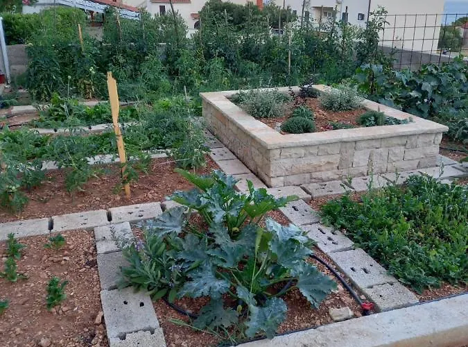 公寓 The Father's House 波尔